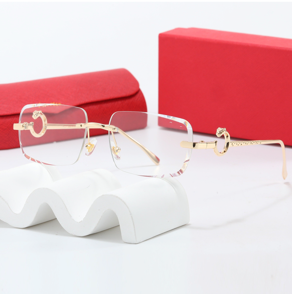 【GZ74】Arctics clear